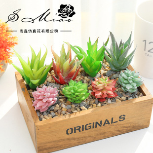 �����������ʯɏ�Gֲ�S��ֱ������DIY��Ʒ�ҾӔ[�����һ�����l