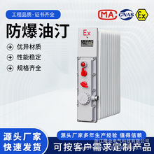 BDR2000W/3000W防爆油汀取暖器工业用11片/13片大功率防爆加热器