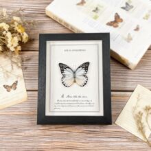 ������˱���� ľ�����Diy�̌W�����������ծ��I�YƷ���x�˱�