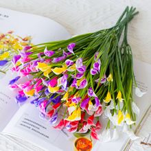 ���R�d���滨�����R��ɏ�����ҾӾƵ��c�҃����b����l����