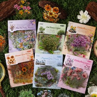 ����q�A��퍷�ˮ�N���֎��N���� �羳�N�����~�N���͹��֎��ز�