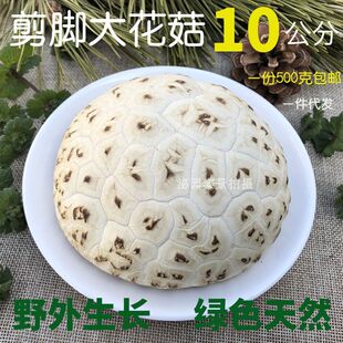 ��ꖼ��_��󻨹���؛�r�Ҹ��㹽����Ģ���o��������l500g���]��