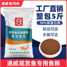 ͨ���^�p�~�������5��ߵ������~��ȸ�~���~�\���m���W�^�~�~�Z