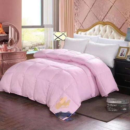 WeChat Hilton Feather Silk Quilt Hotel Autumn and Winter Quilt Core Hilton Quilt Group Purchase Gift Quilt Core Wholesale