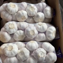 ɽ�|��Ƥ������⾫Ʒ ���|����a�����lԴ�^���S�ӹ��ԷN