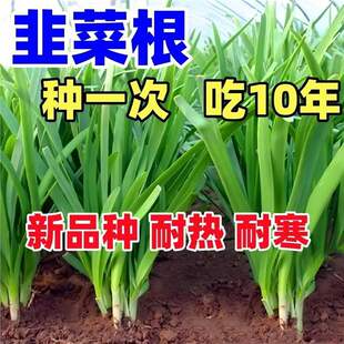 ���ڌ��~�²˸��t���ϸ����r��²���t�����~�²��ļ��̨����