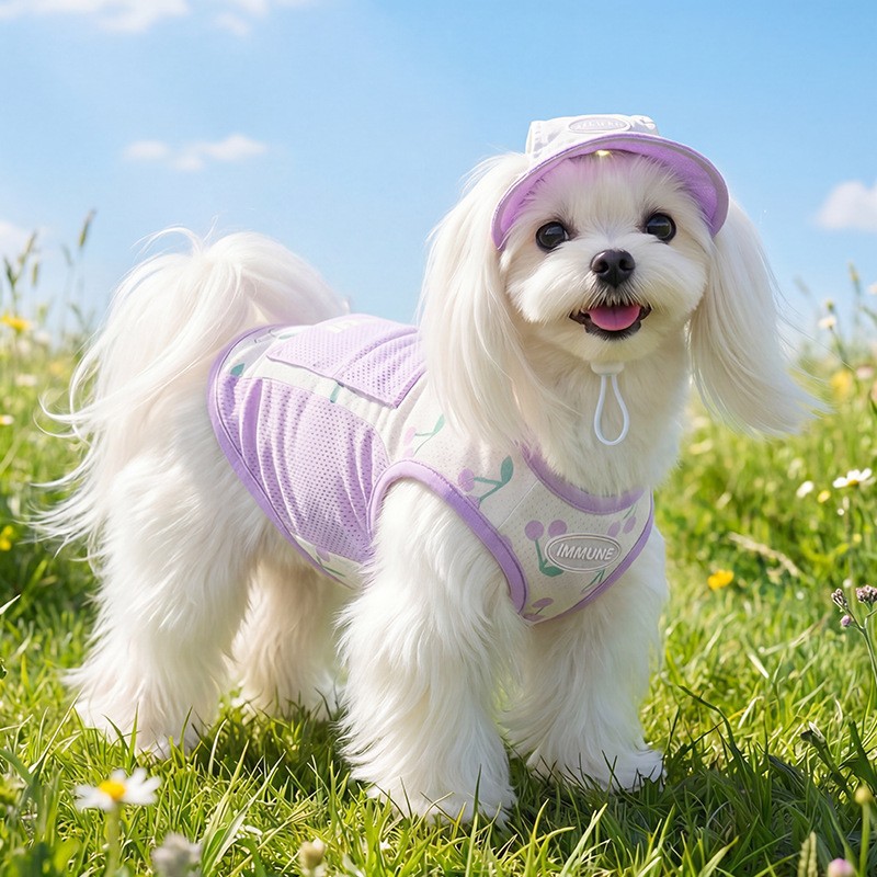 Primavera y verano perros tracción bolsa de hielo sandalias chaleco gato ropa de perro pequeño y mediano que oso ropa de mascota