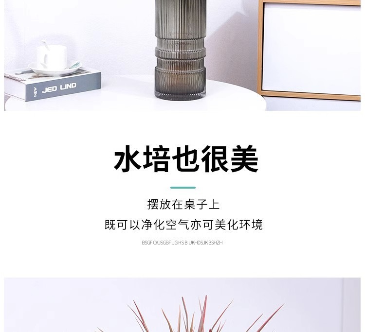 cf1b7417-bbeb-4c42-a0f4-82e243796769.jpe