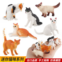 儿童仿真宠物小猫咪迷你动物模型套装家猫黄猫橘猫狸花猫玩具摆件