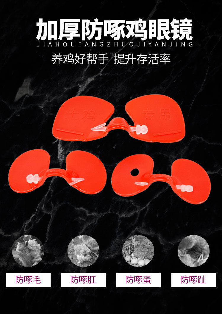 详情1_02.jpg