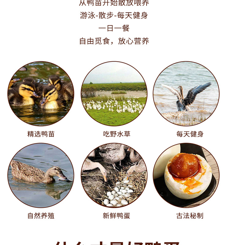咸鸭蛋详情_04.jpg
