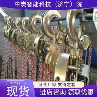 承重能力强防爆手动葫芦 定金发货防爆手动葫芦 2.5T防爆手动葫芦