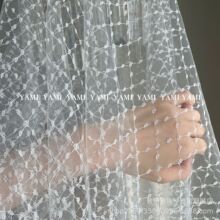 ��ʽ���ν��y���Ứ�A�c���ϼ����ٽz�b��y�z�W�۲���ȹ������