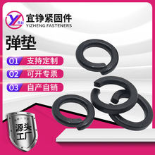 ���|8.8���l�ڸߏ��ȏ��|���ɉ|Ȧ�_�ډ|Ȧ���ԉ|Ƭ���l