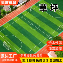 �������������ƺ�����\�Ӳو������b��˹���Ƥ���ϾGɫ�ٲ�ƺ