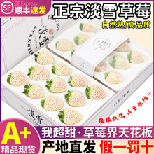 順豐空運 6盒淡雪草莓新鮮水果現貨白雪公主奶油山東禮盒包郵色99