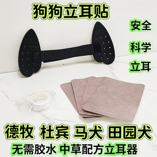 ���������N���������o������̶����»����e�RȮ����߅��С������