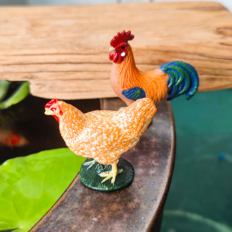 Venta caliente método antiguo de cultivo de peces adornos gallo junto al arroyo pollo jardín patio en maceta pecera paisaje acuático micro paisaje rocalla