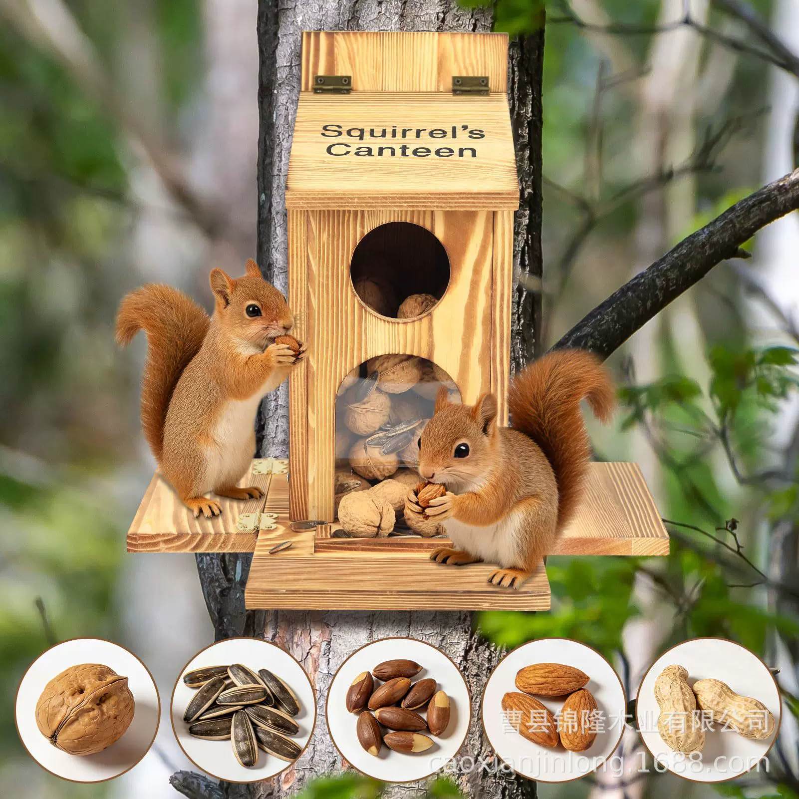 跨境实木松鼠喂食器坚果松子投食器户外悬挂带透明窗松鼠喂食器