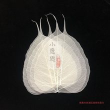 菩提叶摆件书签菩提叶脉功夫茶滤创意贴画叶片干花标本叶子书写