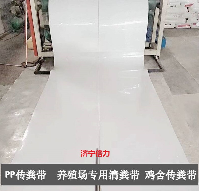鸡笼输送带鸡舍传送带鸽用接粪板PP材质耐腐蚀抗高温量大优惠