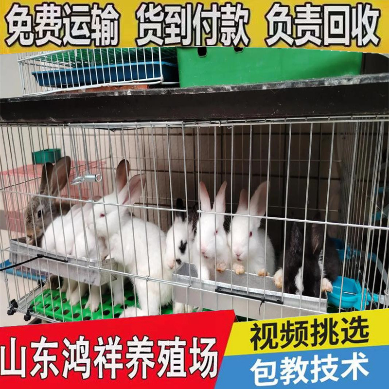 u=2088951871,1837560138&am