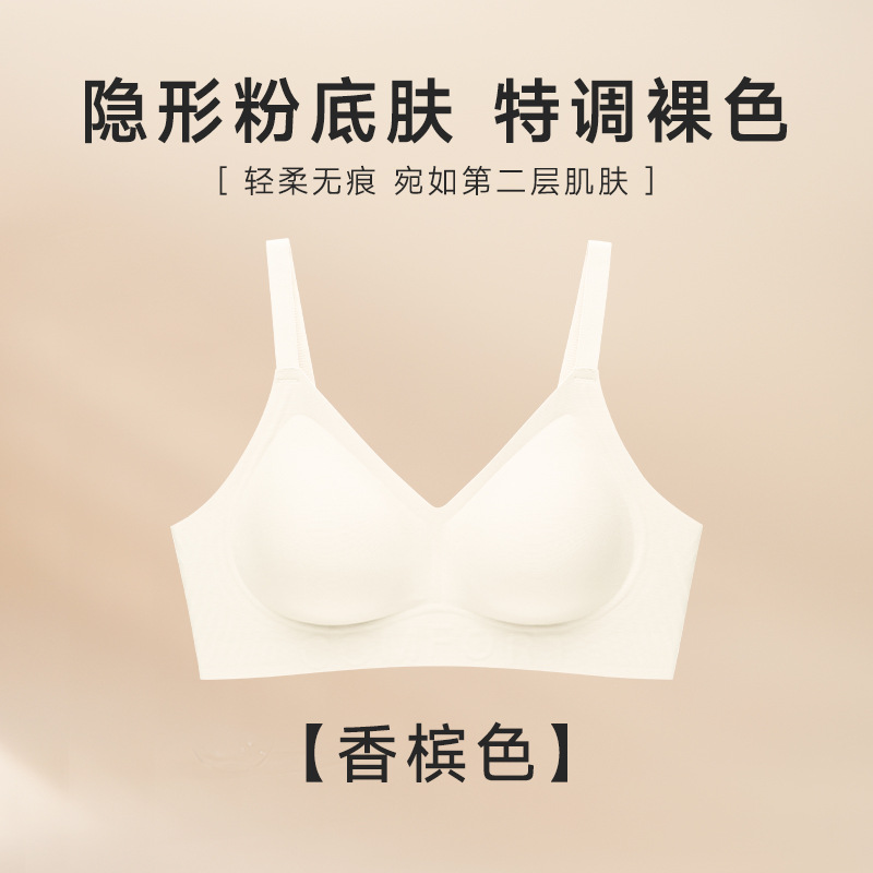 샴페인