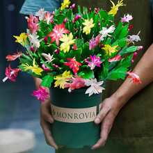 ��Ʒ�ذ�зצ�mɏ�����Ԏ�������ɫ�����҃��̨С�~ֲ���ļ��_��