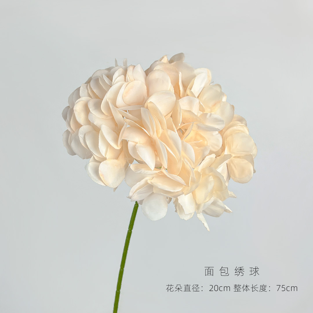 香槟色.jpg