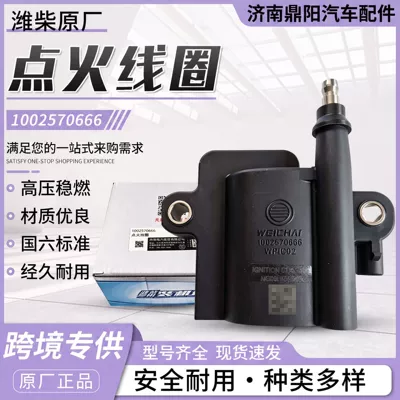 In-stock Weichai engine parts from the manufacturer, special ignition coil for the National VI B gas engine 1002570666 (Other starting systems)