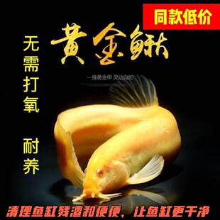 �S�����q�������ˮ�~�^�p�~��ˮ�~С���~С�t�~�����~�r�����q��
