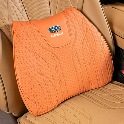 Waist support | Cushion - type-d-lumbar-support-emma-orange-geely