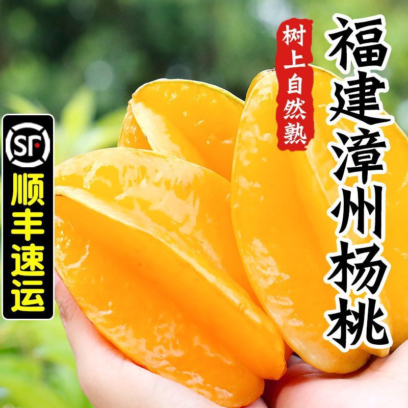 福建漳州甜杨桃水果当季整箱鲜新鲜现摘现发产地直发跨境货源