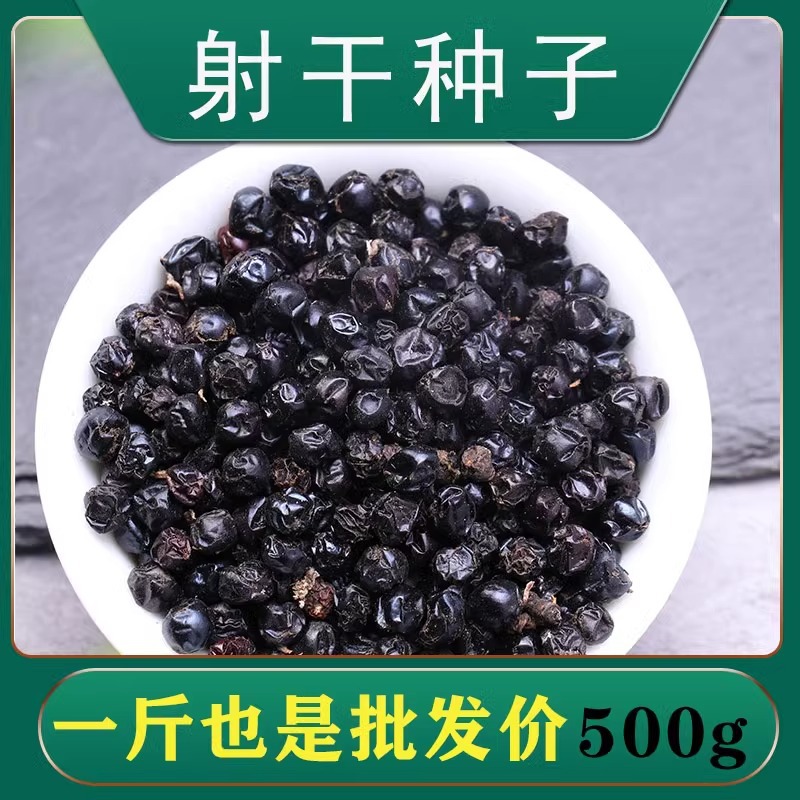 射干种籽优质散装国产中药材种子春秋季播种观赏草药籽盆栽苗