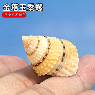 ��Ȼ����ؐ�����������ݼľ�з��Q���~���쾰�ղؔ[���˱�С����