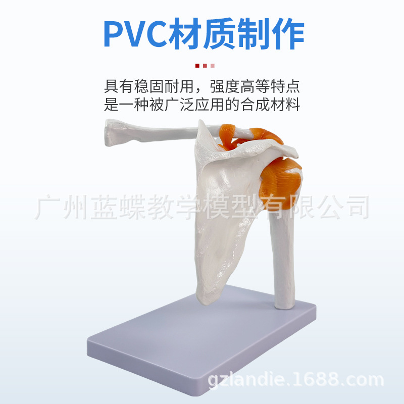 ��ѧ���������ؽ�ģ�ͼ��ι������ܸ��ʹ���������ṹ�ǿƽ̾�