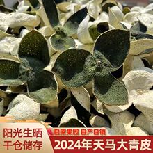���خa��Ƥ��֦���r���V�|���T�Ƥ��ˮ���10��20����؛���l