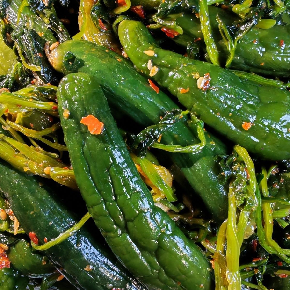 香菜小黄瓜咸菜东北特色咸菜下饭菜开胃小菜开袋即食