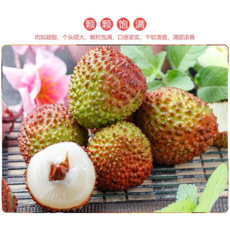 Hainan Feizixiao Litchi Should fresh fruit Guangdong Maoming Guiwei Glutinous rice dumplings Sugar vase