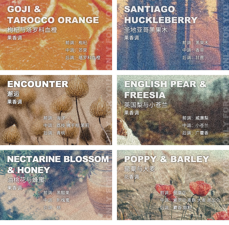 香味描述1-32香3.jpg
