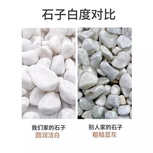 100�＃��Ȼ��ʯ�����l�·С��ɫʯ�^�Z��ʯ�����쾰ͥԺ�@��