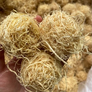 ���� ����z������F؛��������ă�����z500����ș�����l���l