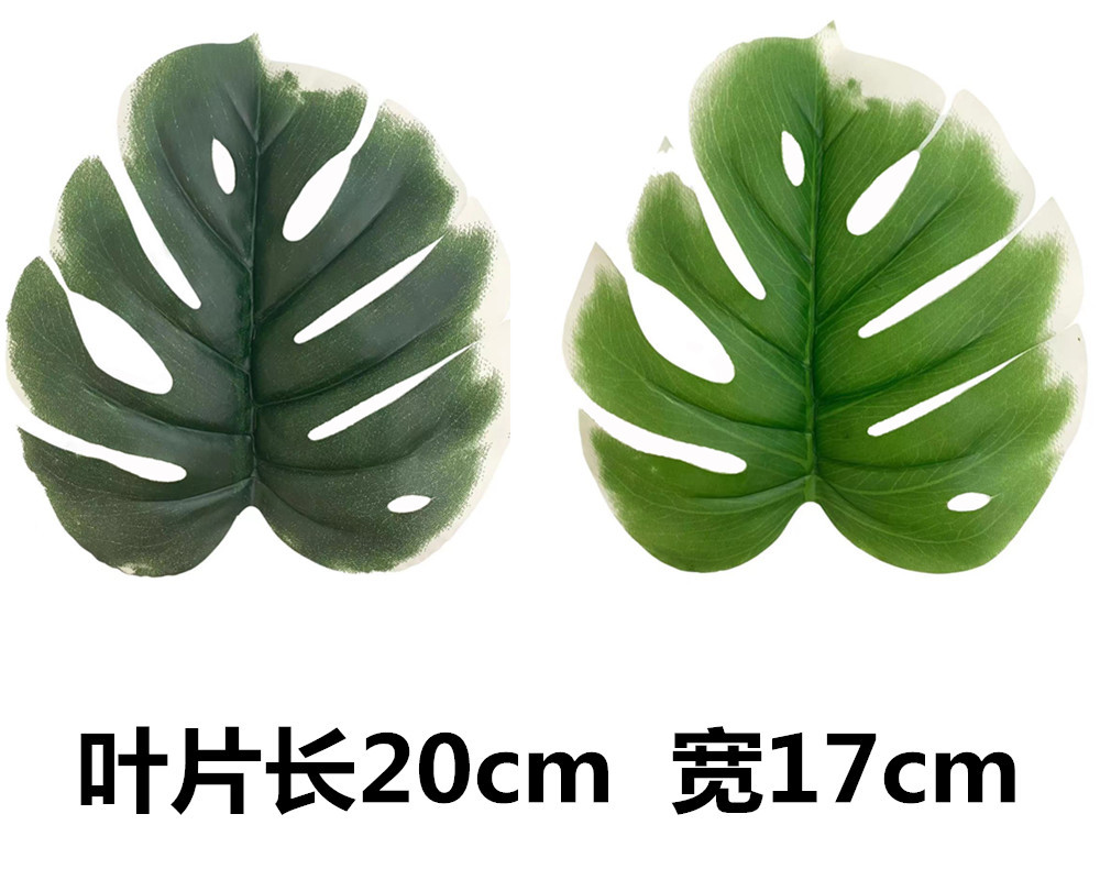未命名_副本