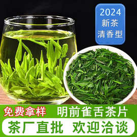 贵州湄潭雀舌特级绿茶茶业明前春茶2024年新茶新款正宗明前雀舌