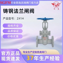 ����y�T�T䓷��m�l�yZ41H-16C��ڏ����ƏS�ҹ������Љ��y�T