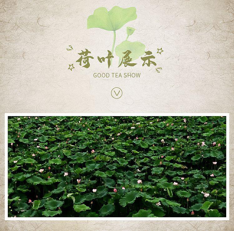 Lotus Leaf Tea 500g Dried He Ye Slices for Brewing and Decoction quality and texture