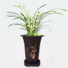 �m�������¿��Ͳ�Ӻ����ϻ������l�ŵ�Ӹ߽��m���mī�m����