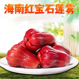 代用/养生茶;苹果;花果茶