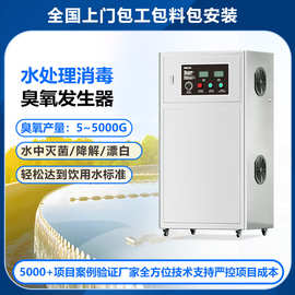飞立污水处理臭氧发生器工业 养殖废水脱色降COD水冷式臭氧发生器