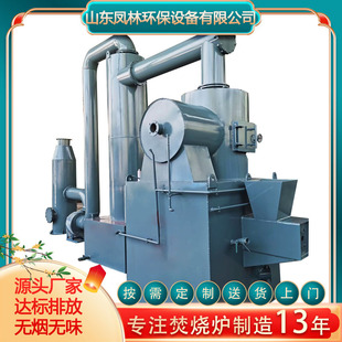 High Temperature Pyrolysis Garbage Incinerator Large Smokeless Green Town Life and Production Garbage Incinerator
